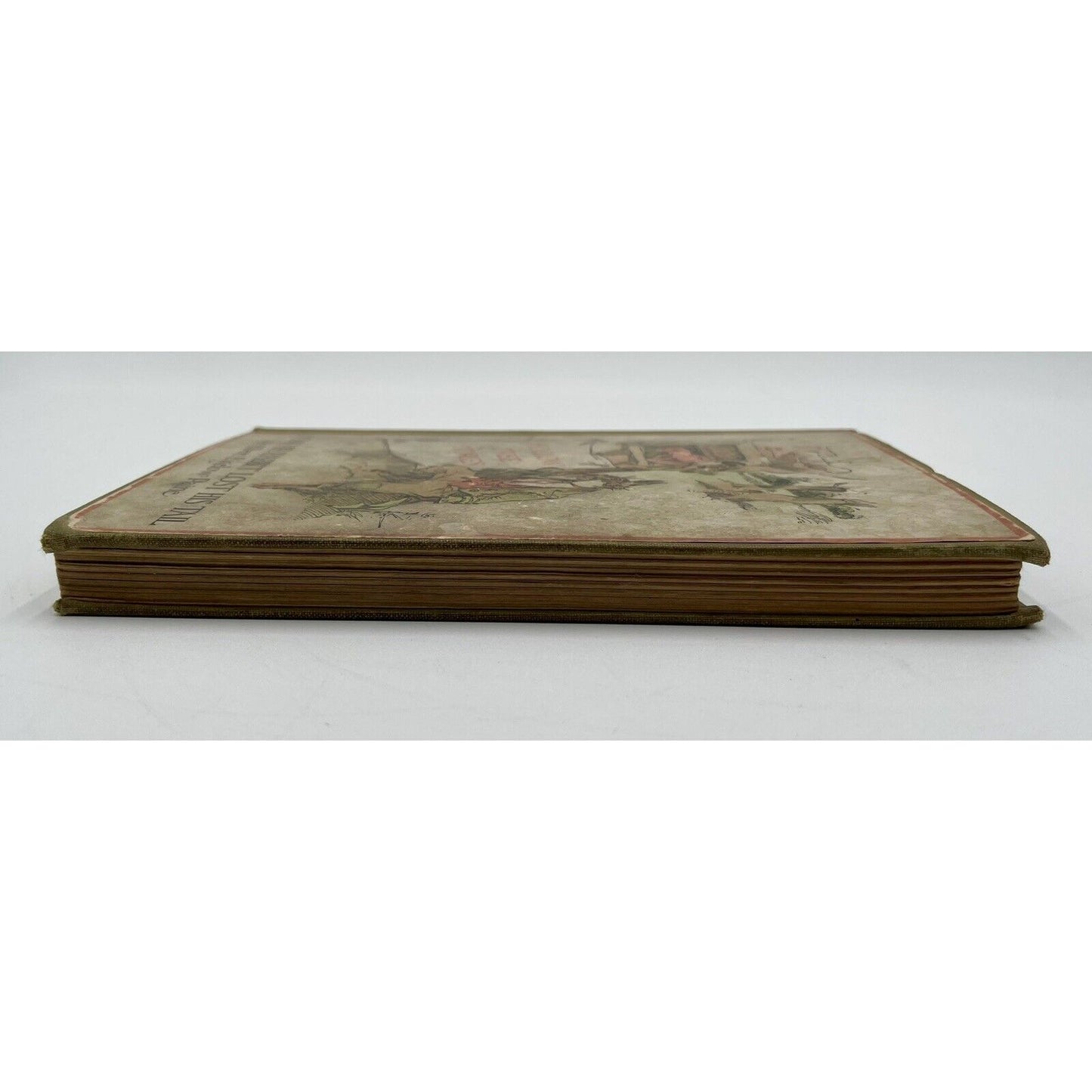 Hollow Tree Stories - How Mr Rabbit Lost His Tail by Albert Bigelow Paine (C8) - Vintosh Vintage