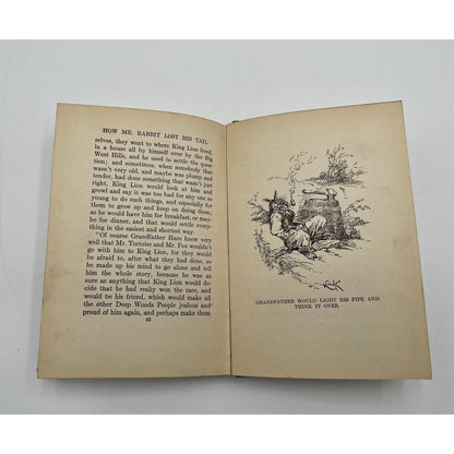 Hollow Tree Stories - How Mr Rabbit Lost His Tail by Albert Bigelow Paine (C8) - Vintosh Vintage