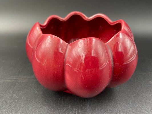 Vintage Burgundy Red Ceramic Planter Oval Succulent Plant Pot
Decor Planter - Vintosh Vintage