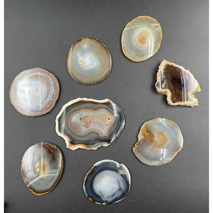 Lot of Eight Polished Round Rock Formations w/Felt Backing Coasters/Decor (B1) - Vintosh Vintage