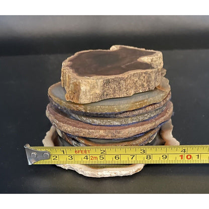 Lot of Eight Polished Round Rock Formations w/Felt Backing Coasters/Decor (B1) - Vintosh Vintage