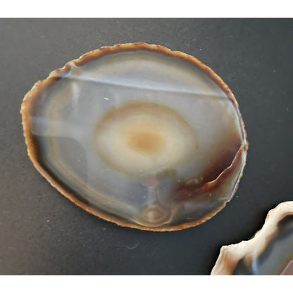 Lot of Eight Polished Round Rock Formations w/Felt Backing Coasters/Decor (B1) - Vintosh Vintage