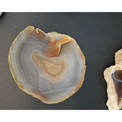 Lot of Eight Polished Round Rock Formations w/Felt Backing Coasters/Decor (B1) - Vintosh Vintage