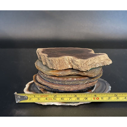 Lot of Eight Polished Round Rock Formations w/Felt Backing Coasters/Decor (B1) - Vintosh Vintage